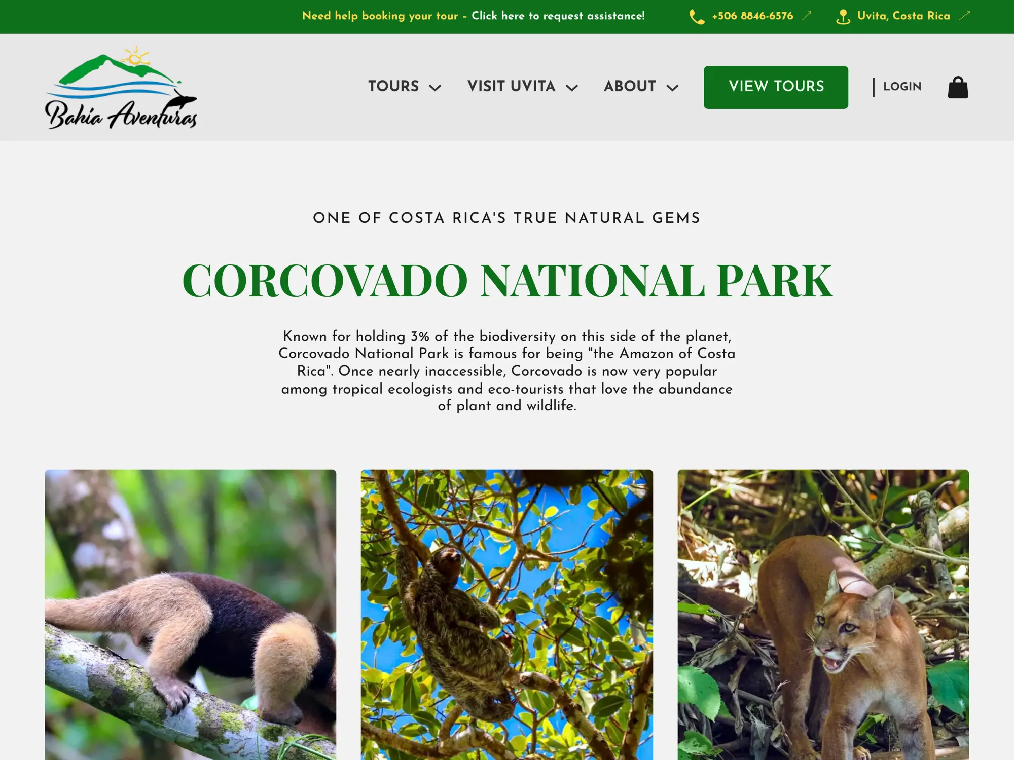 The Corcovado National Park page on bahiaaventuras.com, with photos of an anteater, a squirrel monkey and a puma